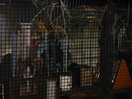 Dexters Evil Laboratory